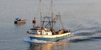 Καρέ-καρέ η «ναυμαχία» ελληνικών και τουρκικών αλιευτικών στο Θρακικό Πέλαγος – «Είναι θέμα χρόνου»