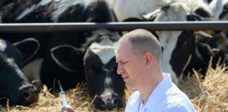 Εμβολιασμοί βοοειδών Σταυρούπολης – Και οι κτηνοτροφικοί σύλλογοι και συνεταιρισμοί της Περιφέρειας ΑΜ-Θ παίρνουν θέση στο θέμα που «σήκωσε» η «Θ»: