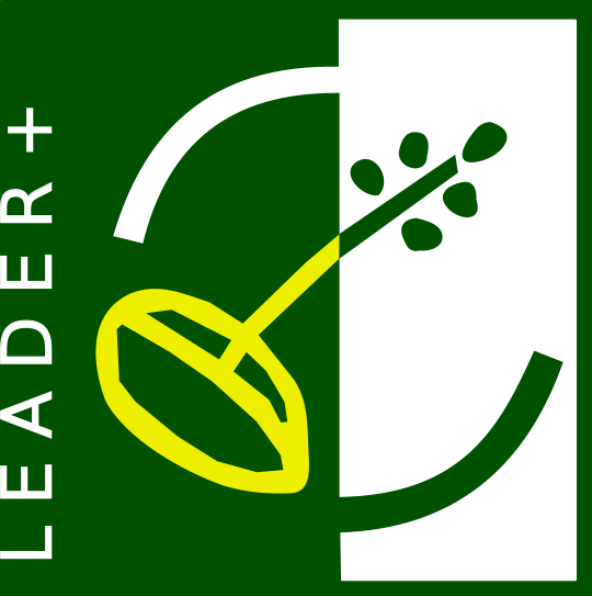 Logo_LEADER+.svg