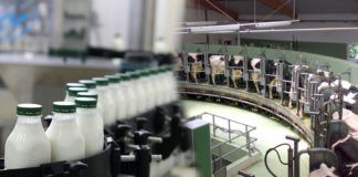 Κι άλλο «άκυρο» για τους κτηνοτρόφους Μυρωδάτου- Ερασμίου