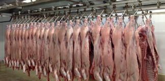 Δ. Σκουλαρίκης: «Η επιθετική πολιτική των μάρκετ, βάζει… κράχτη στην τιμή του αρνιού»