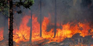 Με… «ζητιανιές» ανταλλακτικών η έναρξη της αντιπυρικής περιόδου στον Ν. Ξάνθης