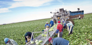 Συνεχίζονται κανονικά οι αγροτικές και κτηνοτροφικές εργασίες