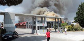 Δεν μπαίνουν οι εργαζόμενοι στα «καμμένα» – Έλεγχο στα κηπευτικά ζητούν οι παραγωγοί