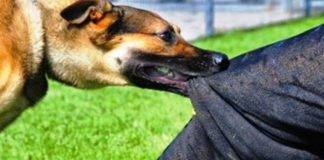 Μαζεύτε τα τουλάχιστον από το κέντρο της Ξάνθης και «σπάστε» τις αγέλες