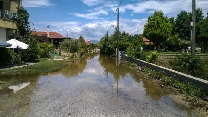nestos-plimmyres-1-1200x674