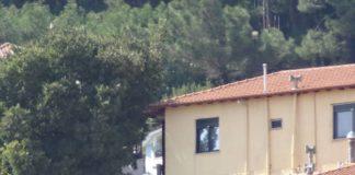 Τραγικό! Δεν καθαρίστηκε ακόμη το περιαστικό άλσος