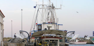 Γ. Μανιός: «Τι δουλειά έχει η αλεπού στο παζάρι;»