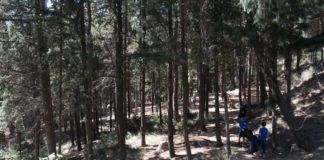 Η βιομηχανία γάλακτος “ΡΟΔΟΠΗ” συνέβαλε στον καθαρισμό του περιαστικού άλσους της Ξάνθης