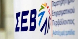 Έλ. Ροφαέλα: Δεν «βγαίνουν» οι συντάξεις με τα σημερινά δεδομένα