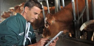 Κτηνοτρόφοι ΠΑΜ-Θ: «Απροστάτευτη η κτηνοτροφία στην περιφέρεια ΑΜΘ… Βρείτε λύση εδώ και τώρα»