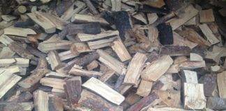 Ο Δήμος Μύκης για την δωρεάν διανομή 100 τόνων καυσόξυλων από την ΣΕΚΕ ΑΕ σε οικονομικά ευάλωτες οικογένειες του Δήμου