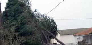 Πτώσεις δέντρων, πυρκαγιές, παγιδευμένα οχήματα και ανατροπή φορτηγού στον «απολογισμό» της κακοκαιρίας του Σαββατοκύριακου για τον Ν. Ξάνθης