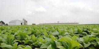 Αλ. Κοντός: Η ΣΕΚΕ επενδύει στη πρόβλεψη των επιπτώσεων από την κλιματική αλλαγή