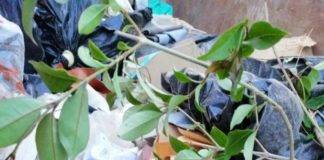 Παράτησαν 8 κουτάβια σε….τσουβάλι στο Κουτσό – Έκκληση για υιοθεσία απο τον συμπολίτη μας που τα βρήκε και τα φρόντισε