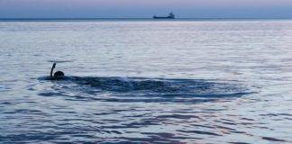 Είδηση ΣΟΚ! Αποκλειστικό! Βρέθηκε ανθρώπινο πτώμα στην παραλία Αγιάσματος στο Δήμο Νέστου!