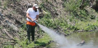 Ξεκίνησαν οι επίγειοι ψεκασμοί για τα κουνούπια στην Ξάνθη – Ήρθαν οι εγκρίσεις και για τους αεροψεκασμούς