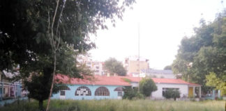 1ο Παιδ. Σταθμός Δήμου Ξάνθης: Χόρτα και… φίδια αντί για παιδικά χαμόγελα!