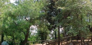 Μέτρα απαγόρευσης κυκλοφορίας οχημάτων για πυροπροστασία του περιαστικού άλσους