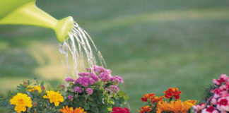 Η ΔΕΥΑ Αβδήρων ενημερώνει: Μην ποτίζετε τις ώρες αιχμής- κίνδυνος διακοπών υδροδότησης