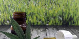 Δέκα εταιρίες πήραν άδεια για καλλιέργεια φαρμακευτικής κάνναβης.