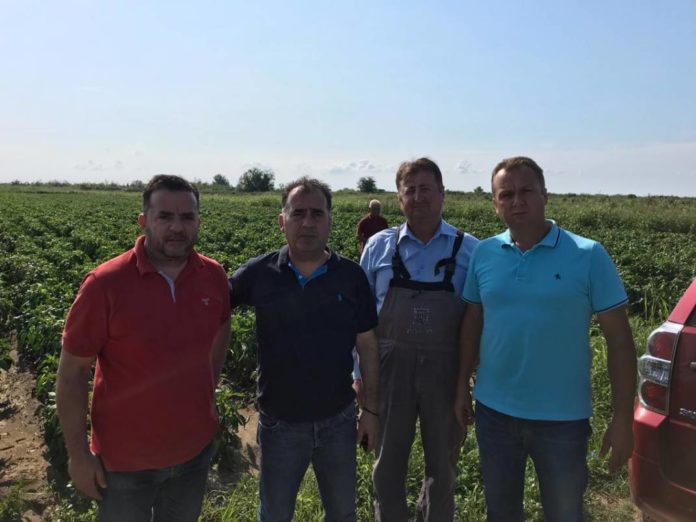 66363596_1489069794568720_5683790149922586624_n