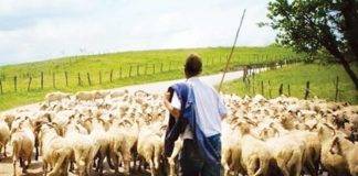 Να πάρουν τα κόμματα επίσημη θέση για τα προβλήματα των κτηνοτρόφων