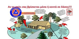 S.O.S.! Κίνδυνος πυρκαγιάς… -Χρήσιμες επισημάνσεις και απαγορεύσεις κατά την αντιπυρική περίοδο