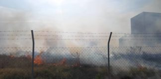 Συμβαίνει τώρα: Φωτιά στο εργοστάσιο της ΕΛΒΙΖ στο Πετροχώρι