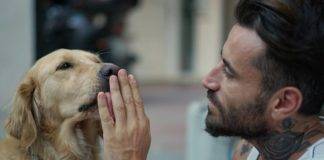 Ο Γιώργος Μαυρίδης, υιοθέτησε την κακοποιημένη σκυλίτσα Παλόμα – Δείτε το βίντεο που αναρτήθηκε στα «αδεσποτούλια»