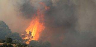 Μεγάλη φωτιά στην Μάνδρα