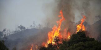 200 στρέμματα έκαψε η φωτιά στην Μάνδρα μέχρι τώρα