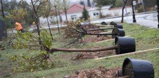 Ένα νέο αλσύλλιο στην Ξάνθη από το γαλακτοκομείο ΡΟΔΟΠΗ και τον Δήμο Ξάνθης