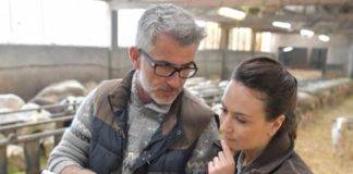 ΟΠΕΚΑ: Από 20/11 αιτήσεις για τρίτεκνες και πολύτεκνες Αγρότισσες, πότε γίνεται πληρωμή