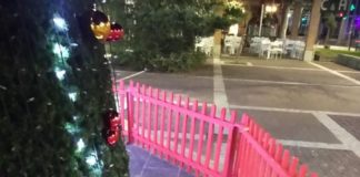 Άμεση η σύλληψη – Άμεση και η αποκατάσταση των ζημιών στο χριστουγεννιάτικο δέντρο της κεντρικής πλατείας