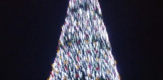 Βανδάλισαν το χριστουγεννιάτικο δέντρο της πλατείας