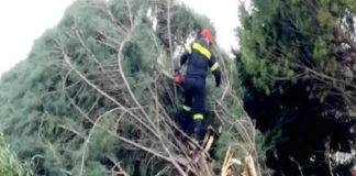 Σε 23 περιστατικά παρενέβη η Π.Υ Ξάνθης