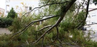 Ο «απολογισμός» της Π.Υ Ξάνθης απο τους ισχυρούς ανέμους