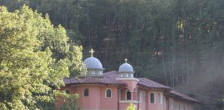 Η ενημέρωση της αστυνομίας για τις συλλήψεις στο Ησυχαστήριο του Γέρακα