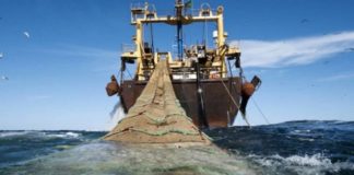 Αγανακτισμένοι οι ψαράδες Ξάνθης και Ροδόπης