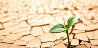 Κ. Κουρτίδης: «Ξερό» μέχρι στιγμής το 2020… Η πιο βροχερή χρονιά το 2019