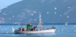 Παράταση υποβολής αιτήσεων ένταξης σε δύο (2) Προσκλήσεις σε Μέτρα και Δράσεις του Επιχειρησιακού Προγράμματος Αλιείας και Θάλασσας.