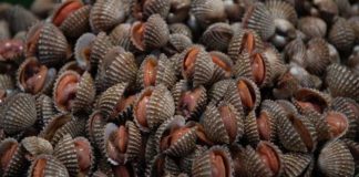 S.O.S για την δημόσια υγεία – S.O.S και για τον… βυθό