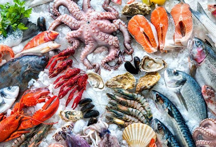 SARAKOSTIANA_THALASSINA_17MON