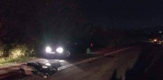 Τραγικό: Νεκρά 2 άλογα στο ύψος των Αμαξάδων