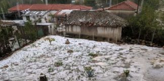 Ισοπέδωσε ακτινίδια, ρόδια και πιπέρια, η σφοδρή χαλαζόπτωση το απόγευμα (αποκλειστικές φωτογραφίες)