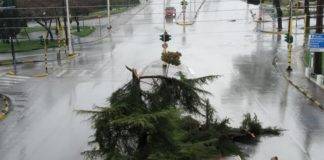 Σφοδρή κακοκαιρία με πτώσεις δέντρων, πλημμυρικά φαινόμενα και ισχυρούς κεραυνούς έπληξε την Ξάνθη