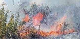 Φωτιά τώρα στον Έβρο: Κινδυνεύει το δάσος της Δαδιάς