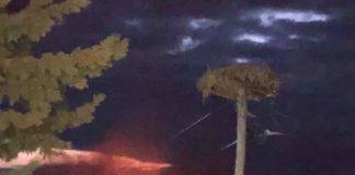 Απίστευτο! Τρίτη μέρα καίει η φωτιά στην παραλία και δεν απογειώθηκε αεροπλάνο