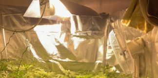 Ξάνθη: Καλλιεργούσε κάνναβη στο… «εργαστήριό» του